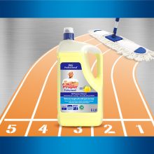 Mr. Proper Professional Citrom 5 L 