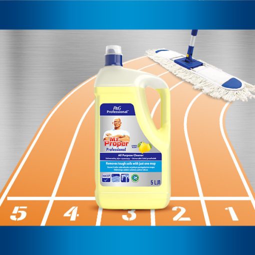 Mr. Proper Professional Citrom 5 L 