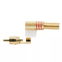 RCA dugó