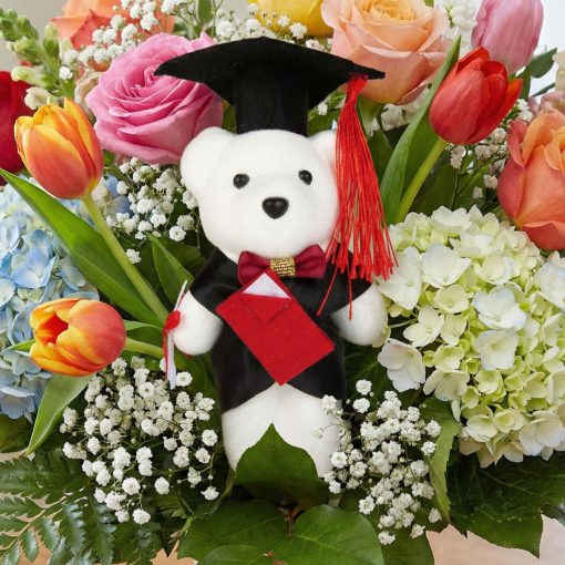 Ajándék - Diplomás maci - 13 cm