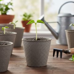   Palántanevelő cserép - Ø8 cm - kerek, papír - 10 db / csomag