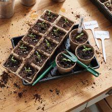 Palántanevelő készlet - 66 db-os - 35,4 x 23,7 x 6,1 cm