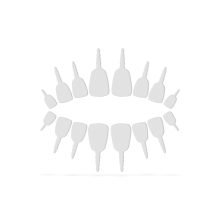 Halloween-i töklámpás fogak - 18 fog / csomag