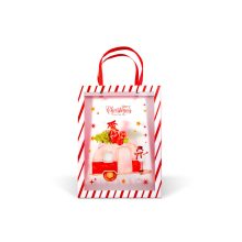 Karácsonyi ajándéktáska - 24 x 19,5 x 9,5 cm - 2 féle