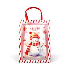 Karácsonyi ajándéktáska - 32 x 25 x 11 cm - 2 féle