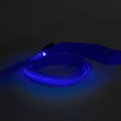 LED-es póráz - akkumulátoros - 120 x 2,5 cm - kék
