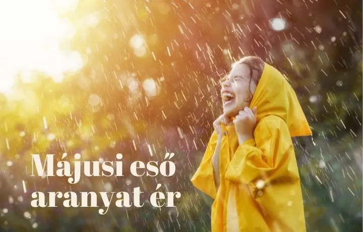 Vízhatlan munkaruha esős időre: hogyan védd meg magad munka közben?